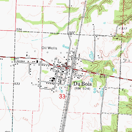 Topographic Map of Du Bois, IL