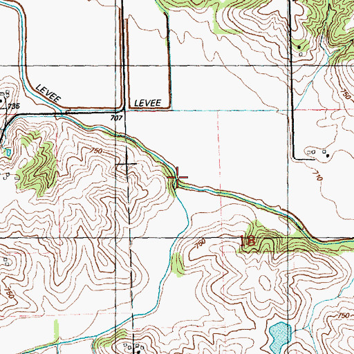 Topographic Map of Dugout Creek, IL