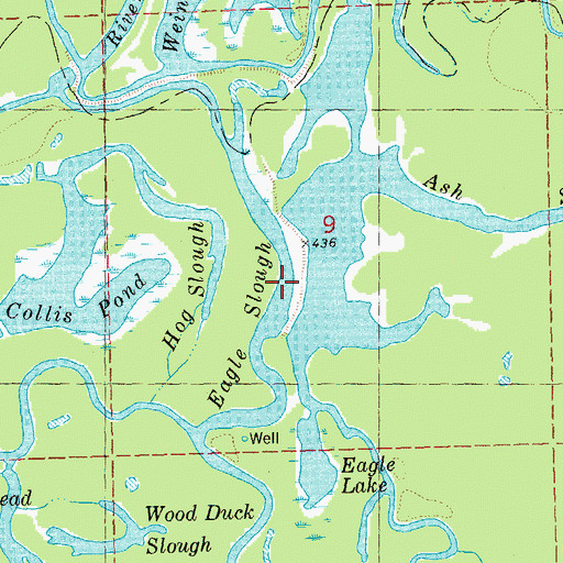 Topographic Map of Eagle Slough, IL