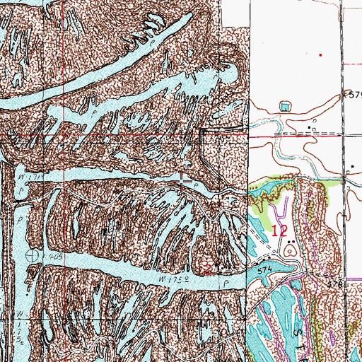 Topographic Map of East Fork Mazon River, IL