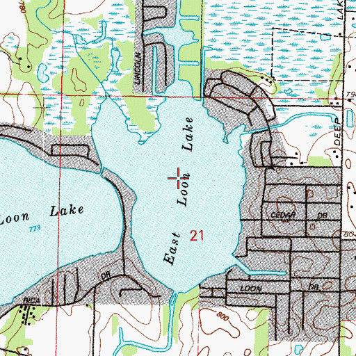 Topographic Map of East Loon Lake, IL