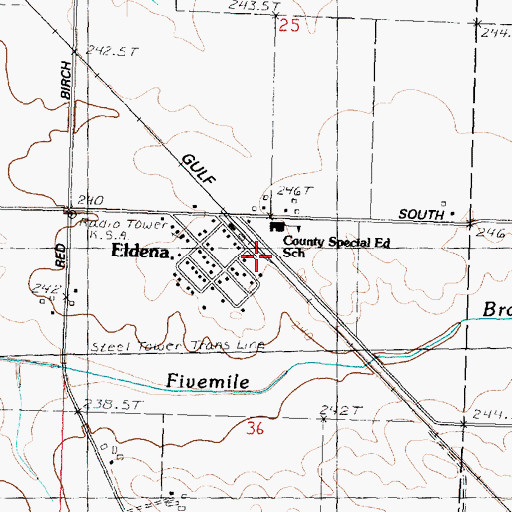 Topographic Map of Eldena, IL