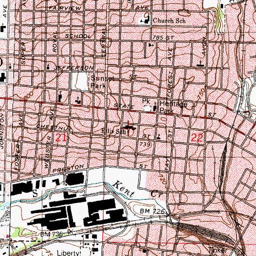 Topographic Map of Ellis Elementary and Art Alternative School, IL