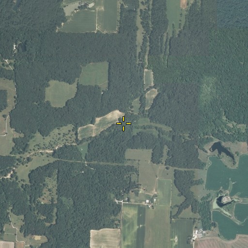 Aerial/Satellite Image of Elm Point Branch, IL