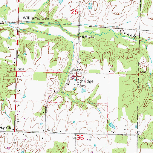 Topographic Map of Etheridge Cemetery, IL