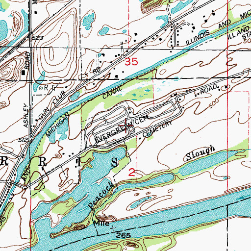 Topographic Map of Evergreen Cemetery, IL