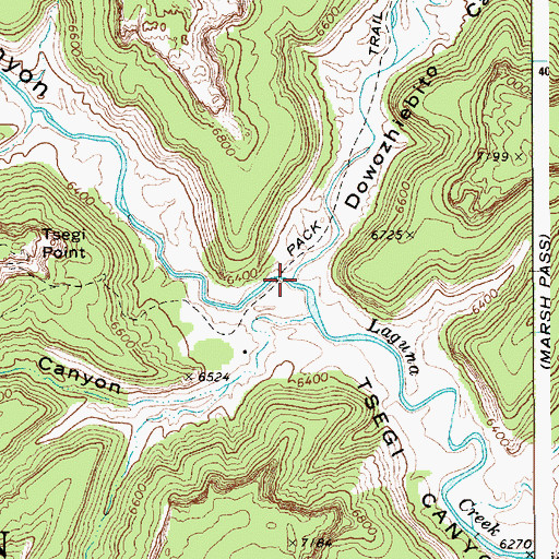 Topographic Map of Dowozhiebito Canyon, AZ