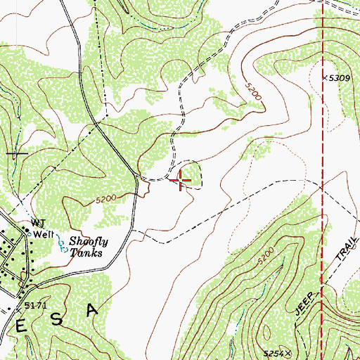 Topographic Map of Shoofly Indian Ruins, AZ