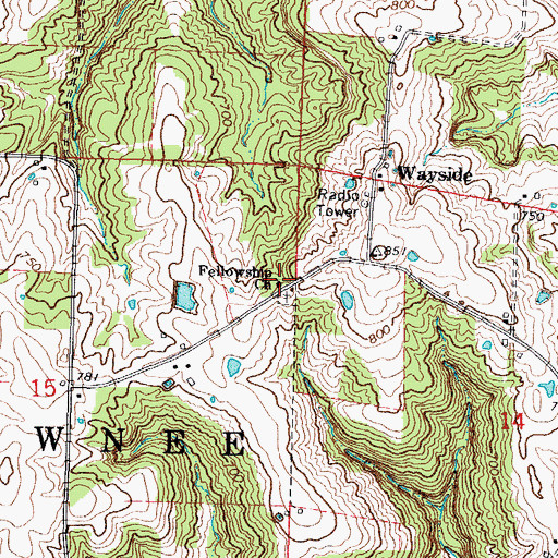 Topographic Map of Fellowship Church, IL