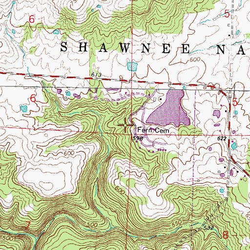Topographic Map of Fern Cemetery, IL