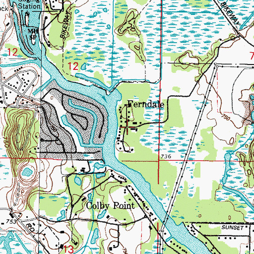 Topographic Map of Ferndale, IL