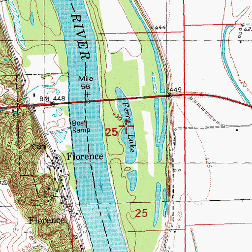 Topographic Map of Ferry Lake, IL