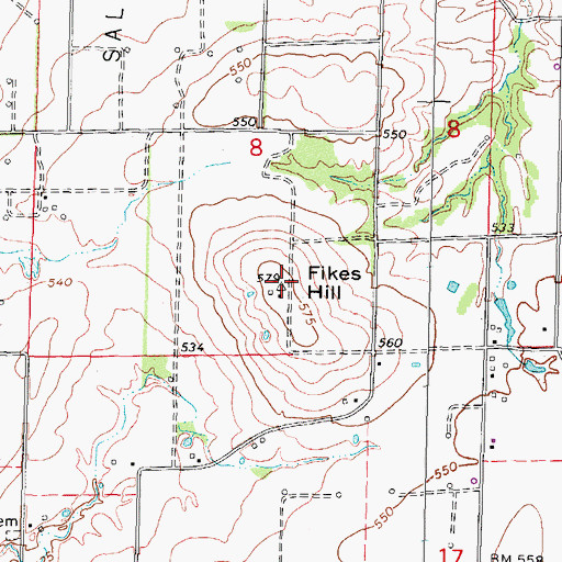 Topographic Map of Fikes Hill, IL