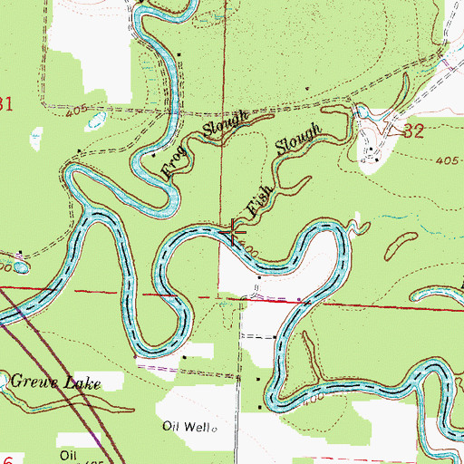 Topographic Map of Fish Slough, IL