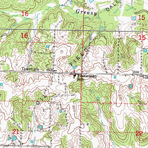 Topographic Map of Flannigan School, IL