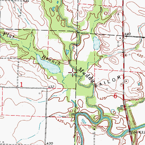 Topographic Map of Flat Branch, IL