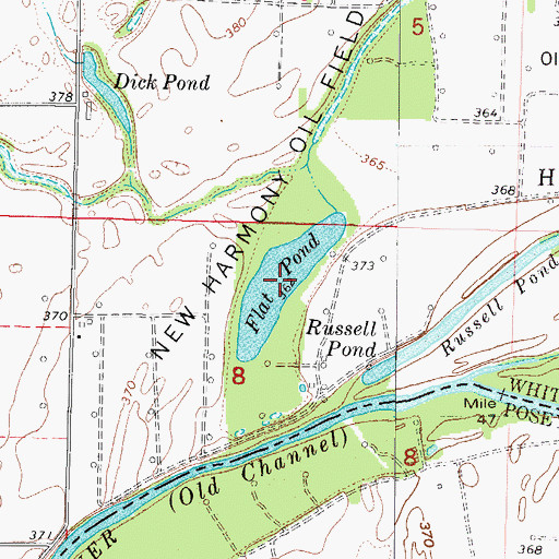 Topographic Map of Flat Pond, IL
