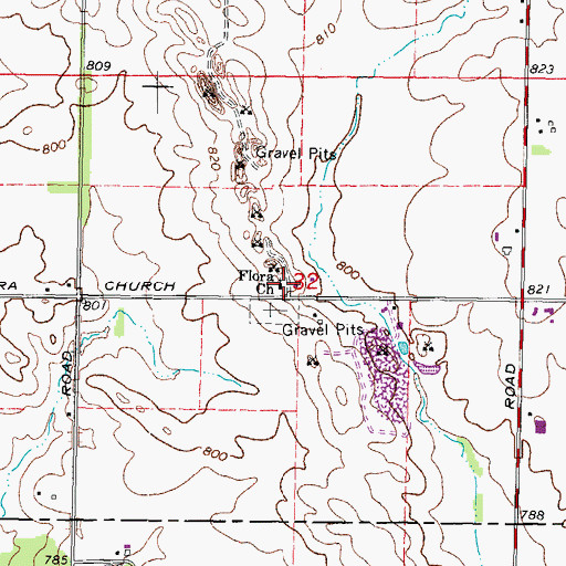 Topographic Map of Flora Church, IL