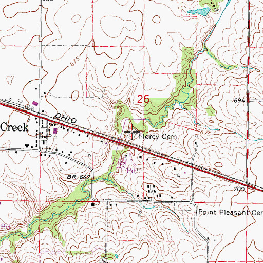 Topographic Map of Florey Cemetery, IL