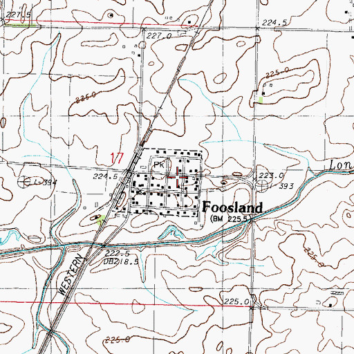 Topographic Map of Foosland, IL