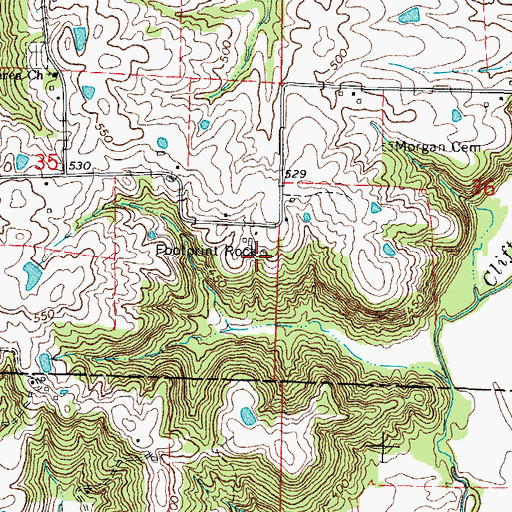 Topographic Map of Footprint Rock, IL