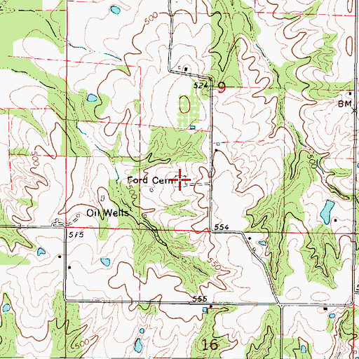 Topographic Map of Ford Cemetery, IL