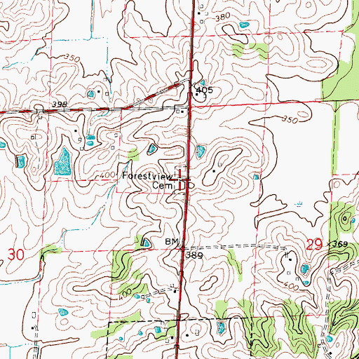 Topographic Map of Forestview Cemetery, IL