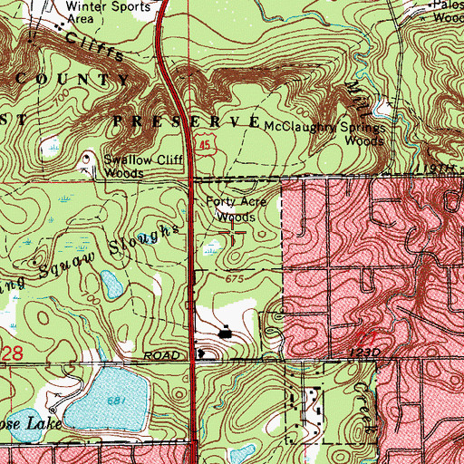 Topographic Map of Forty Acre Woods, IL