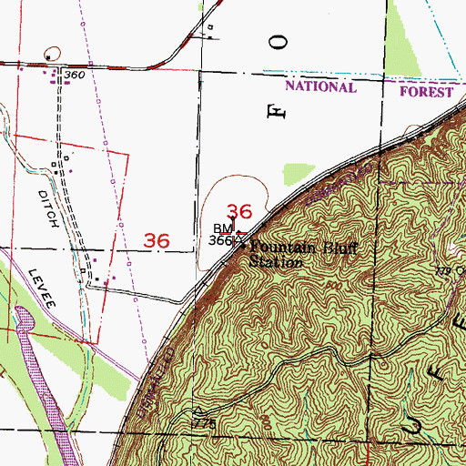 Topographic Map of Fountain Bluff Station, IL