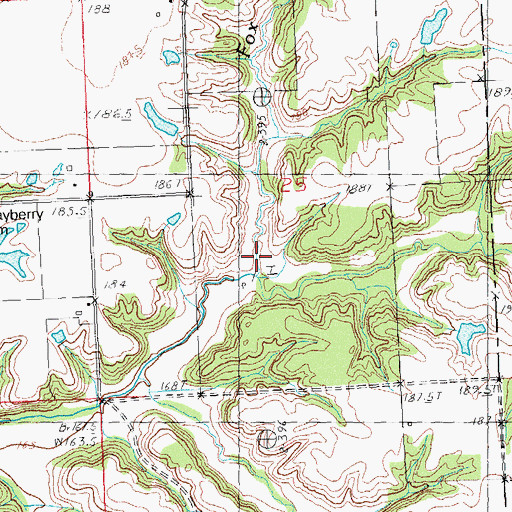 Topographic Map of Fox Branch, IL