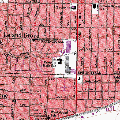 Topographic Map of Benjamin Franklin Middle School, IL