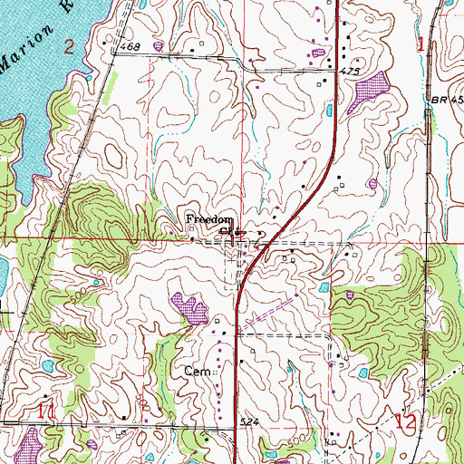 Topographic Map of Freedom Church, IL