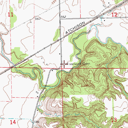 Topographic Map of Freeland Cemetery, IL