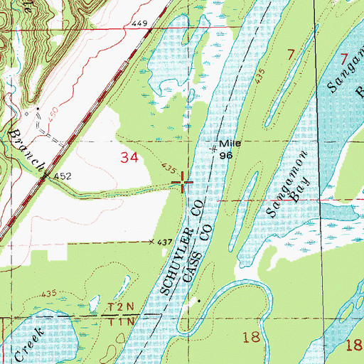 Topographic Map of Friddle Branch, IL