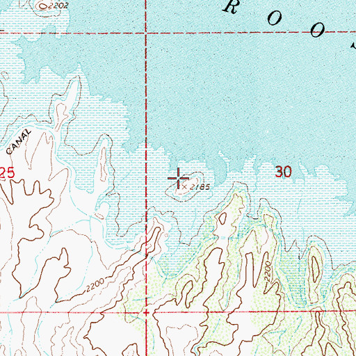 Topographic Map of Saddle Island, AZ