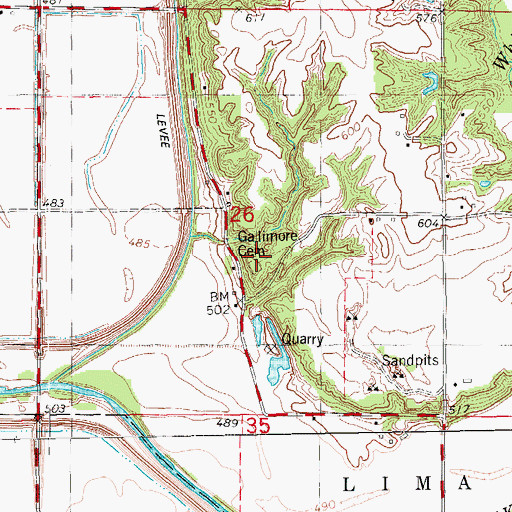 Topographic Map of Gallimore Cemetery, IL