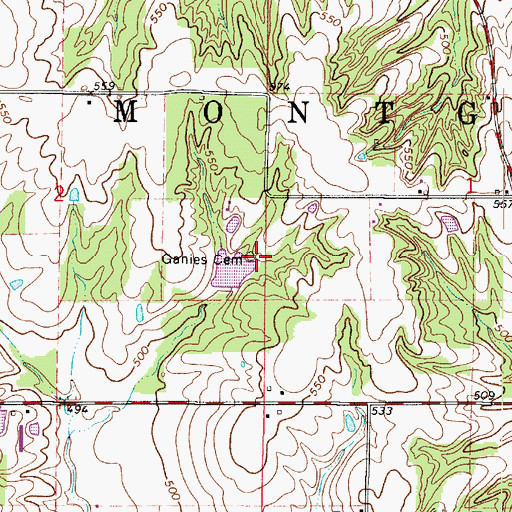 Topographic Map of Ganies Cemetery, IL