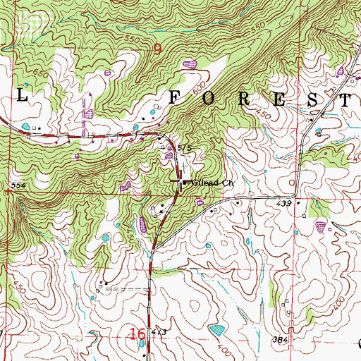 Topographic Map of Gilead Church, IL