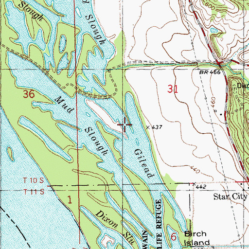 Topographic Map of Gilead Slough, IL