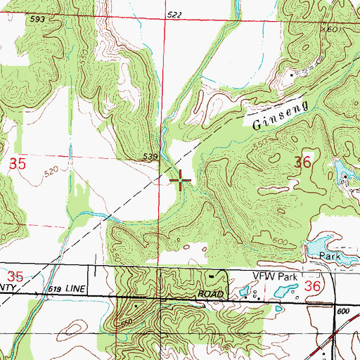 Topographic Map of Ginseng Creek, IL