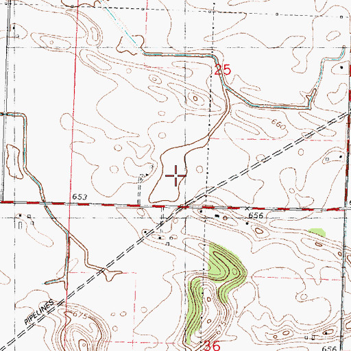 Topographic Map of Goose Lake, IL
