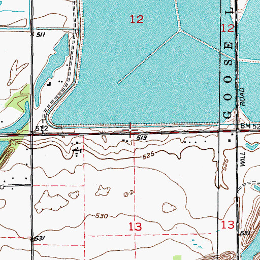 Topographic Map of Goose Lake School, IL