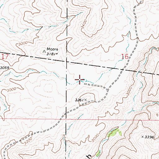 Topographic Map of Woody Tank, AZ