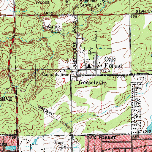 Topographic Map of Goeselville, IL