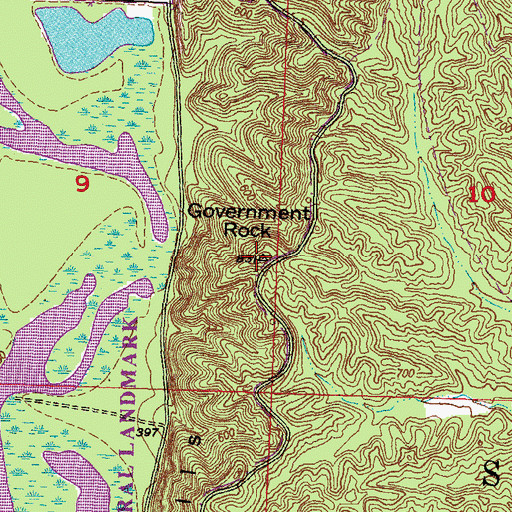 Topographic Map of Government Rock, IL