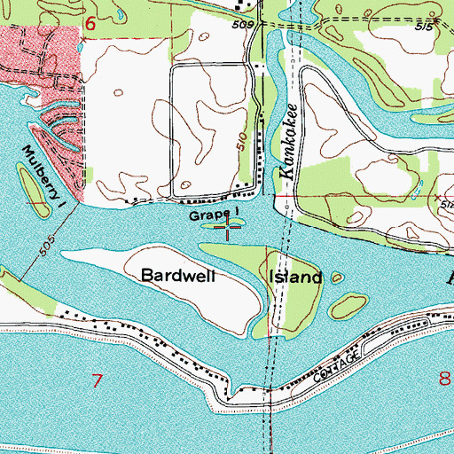 Topographic Map of Grape Island, IL