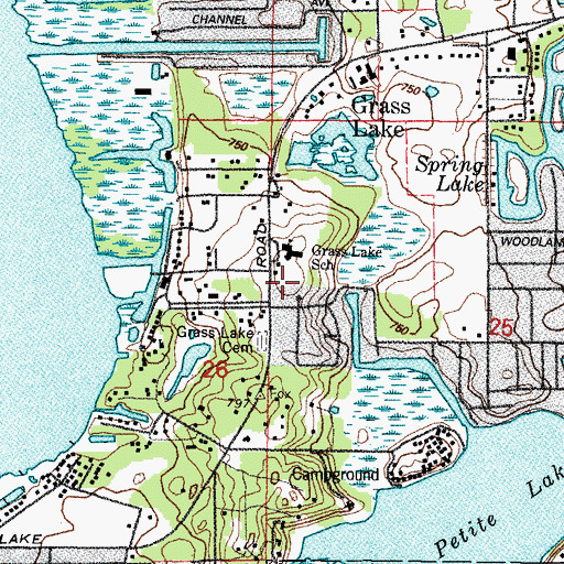 Topographic Map of Grass Lake Elementary School, IL