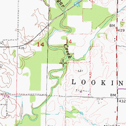 Topographic Map of Grassy Branch, IL