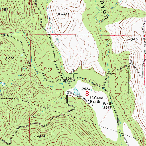 Topographic Map of El Rancho del Rosas, AZ