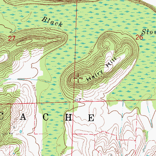 Topographic Map of Hairy Hill, IL